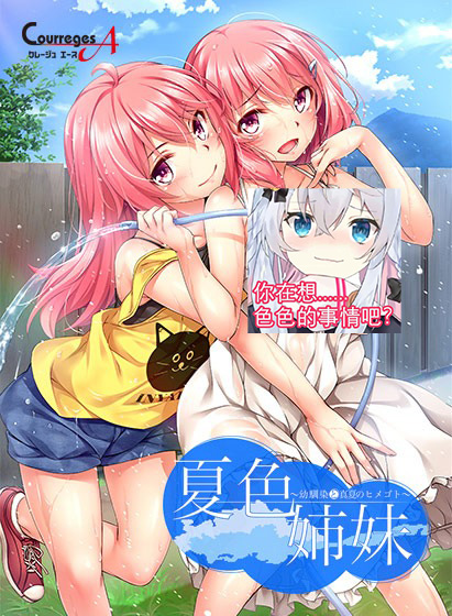 【PC/汉化】夏色姐妹～青梅竹马与盛夏秘事～ / 夏色姉妹～幼馴染と真夏のヒメゴト～ - Hikarinagi