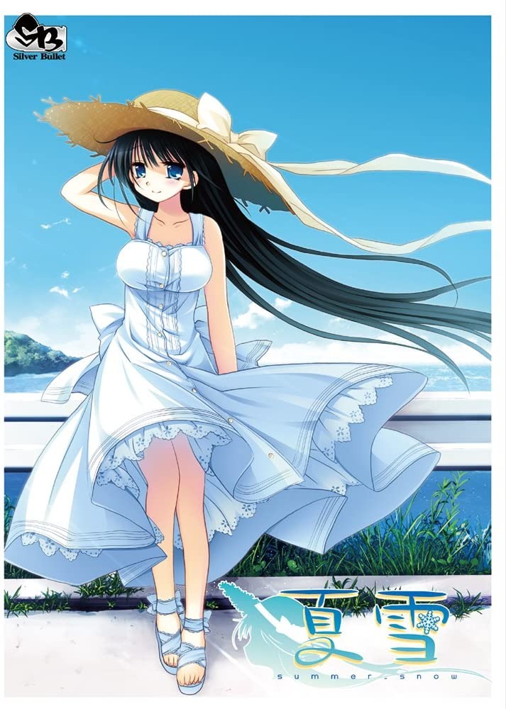 【Gal】【PC/PE/汉化】夏雪～summer_snow～  - Hikarinagi