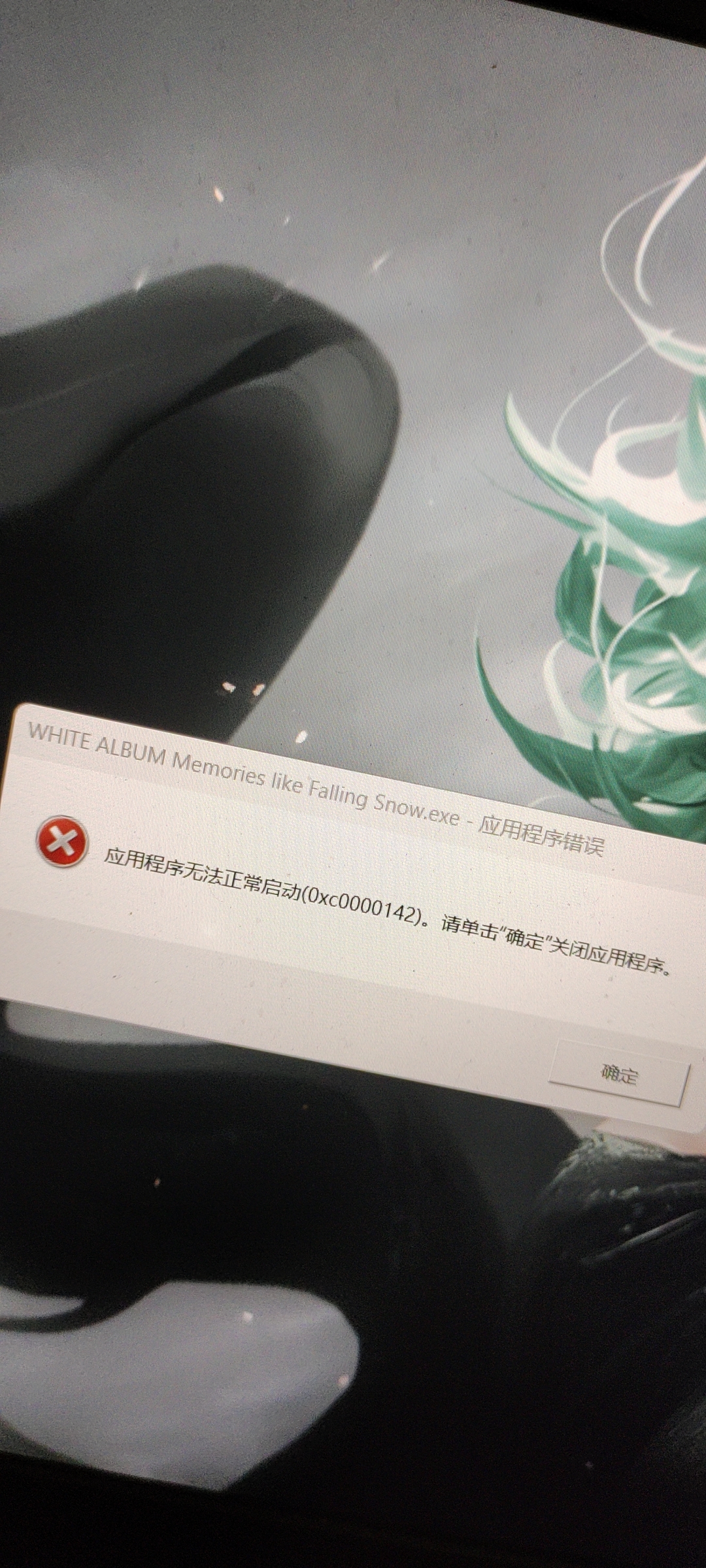 出现无法启动怎么办啊大佬们😭 - Hikarinagi